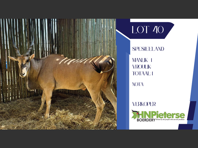 ELAND | SCHOONBEE LANDGOED