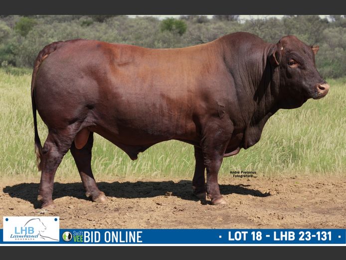 LHB 230131 | LEEUHEUWEL BOERDERY (EDMS) BPK