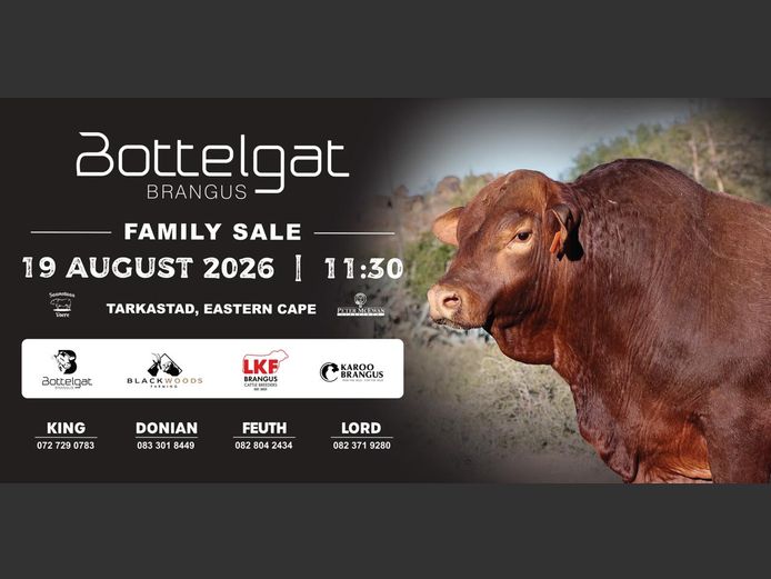 BOTTELGAT BRANGUS FAMILY SALE