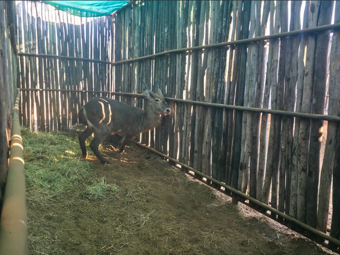 WATERBOK | HANLEY 1