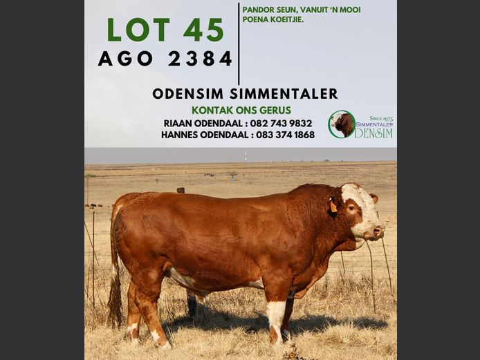 AGO2384 | AG ODENDAAL