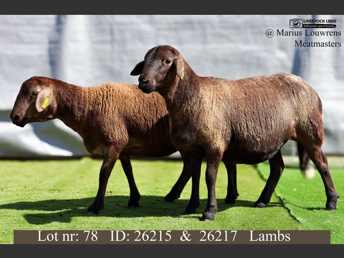 26215 | 26217 | Marius Louwrens Meatmasters