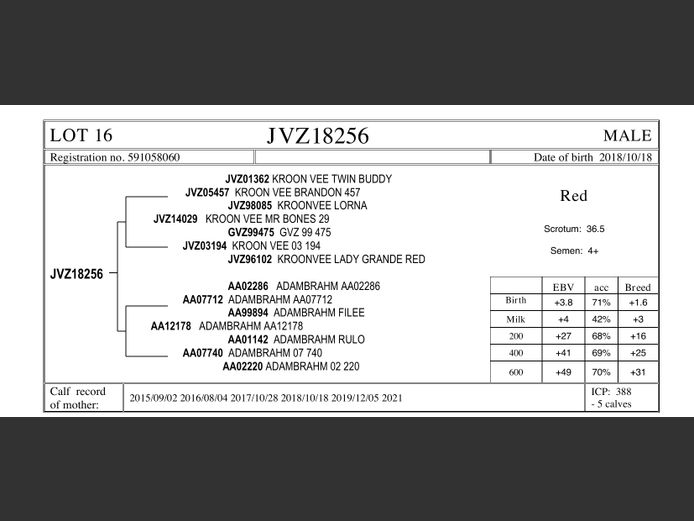 JVZ18-256