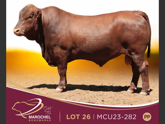 MCU 230282