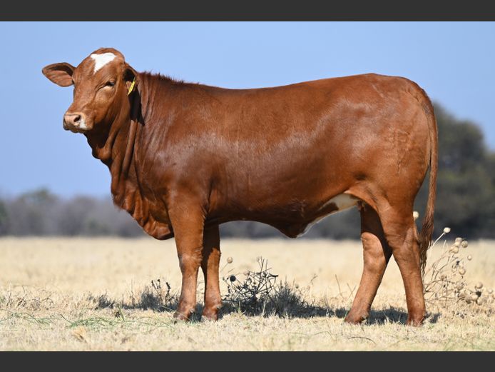 RNZ24131 | FASARI FARMING ENTERPRIZE CC