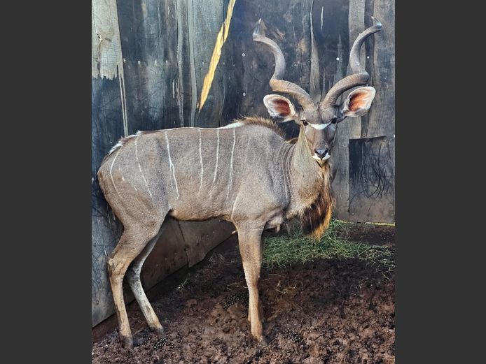 KUDU | RIPICA TRUST