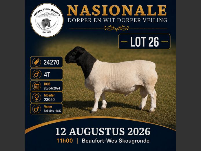 1039 24 0270 | MNR. G. VIVIER