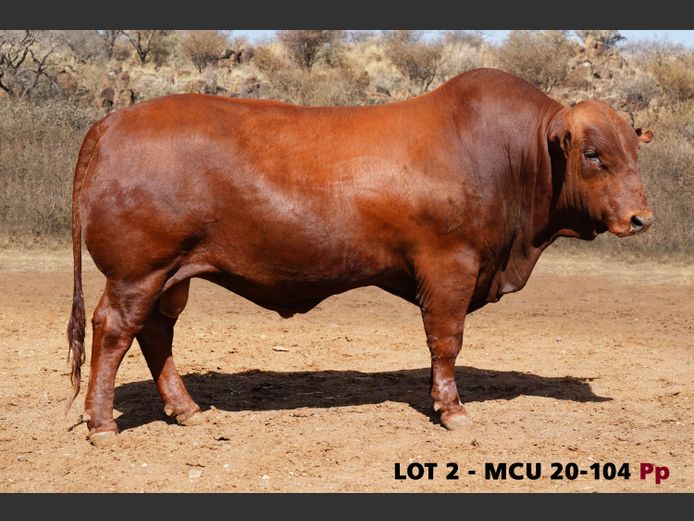 MCU20-0104