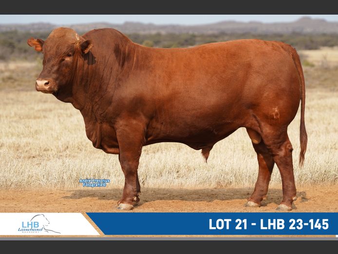 LHB230145 | LEEUHEUWEL BOERDERY (EDMS) BPK
