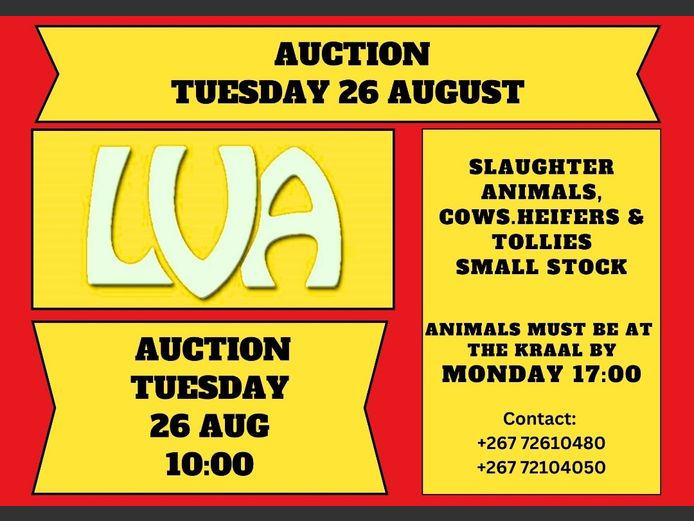 LVA WEEKLY SCALE AUCTION 