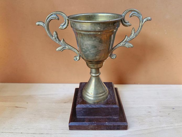 Vintage Brass Presentation Trophy Cup on Wooden Base