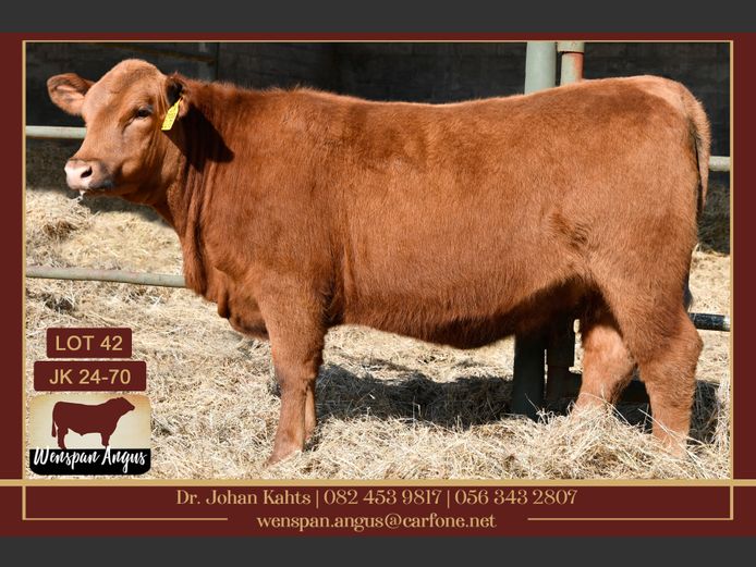 JK240070 | J. KAHTS