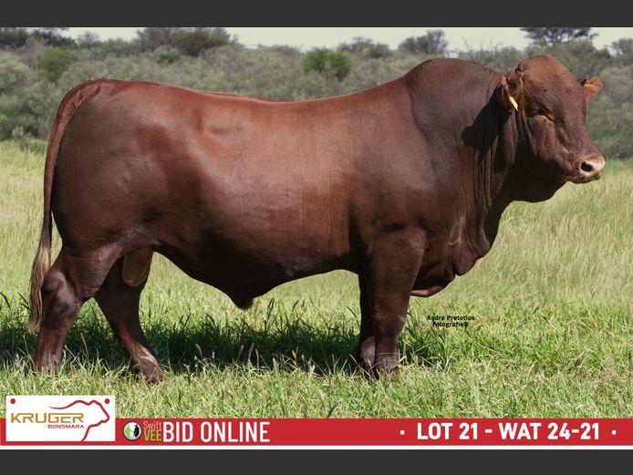 WAT 240021 | KRUGER BOERDERY