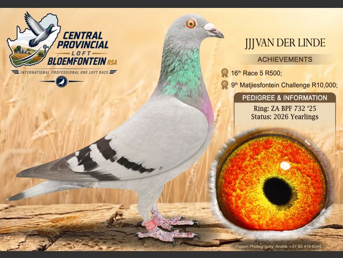 BPF 732 2025 | JJJ VAN DER LINDE
