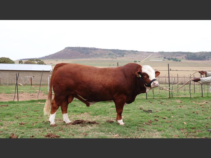 LR2320 | Johan Theron