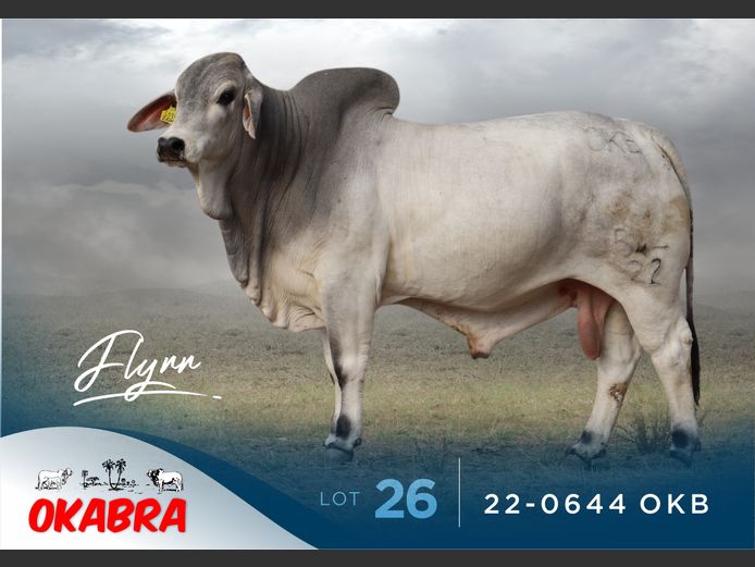 22-0644 OKB | OKABRA BRAHMANS