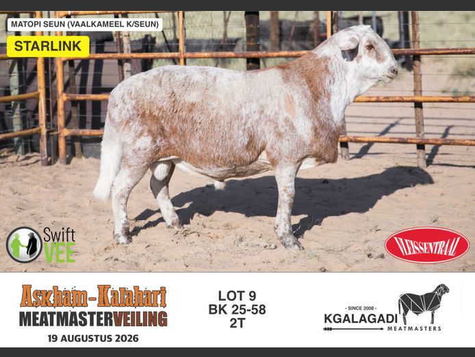 BK 25-58 | BARRI KNOETZE