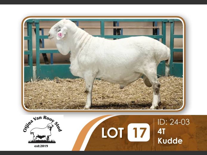 24-003 | BILLY KAZONGANGA