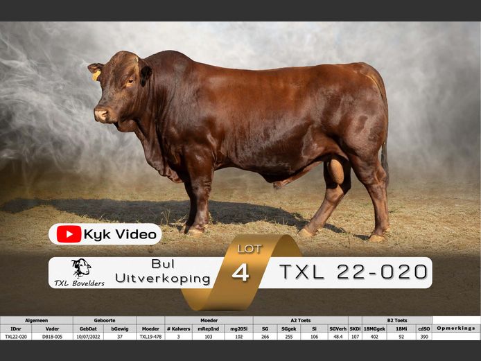 TXL22-020