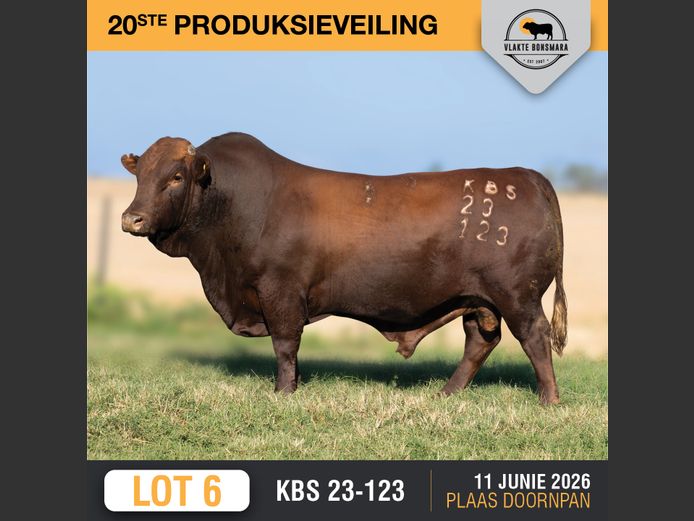KBS230123 | KAMEELDORING BONSMARA