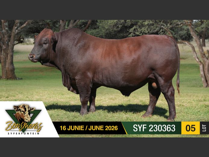 SYF230363 | SYFERFONTEIN BOERDERY