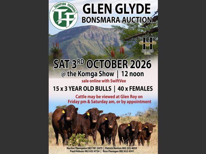 GLEN GLYDE BONSMARA AUCTION