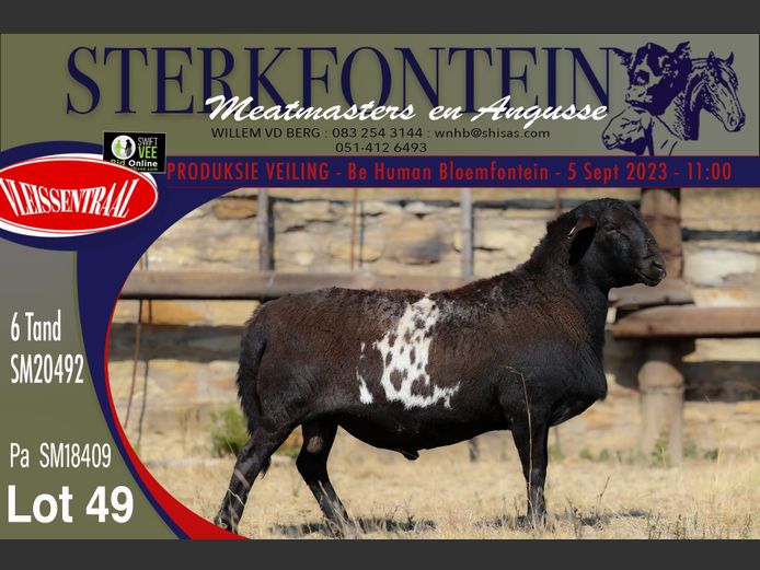 SM 20 492 | Sterkfontein Meatmasters