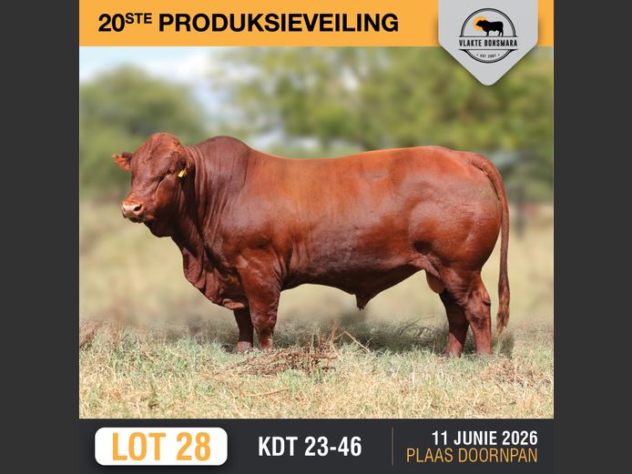 KDT 23-46 | J.P.F. DU TOIT
