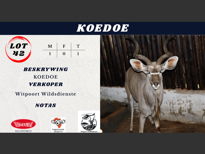 KOEDOE