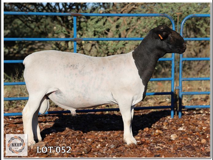 1643 24 0421 | C.C. VAN DEVENTER