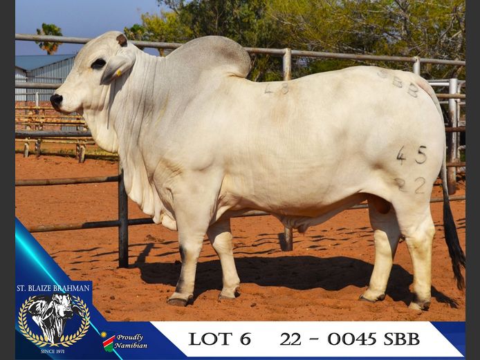 22-0045SBB | ST. BLAIZE BRAHMAN STOET