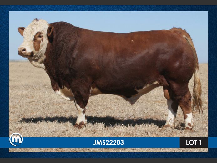 JMS22203
