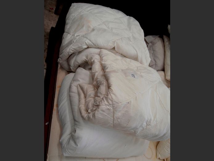 LOT: 3 x DUVET INNERS