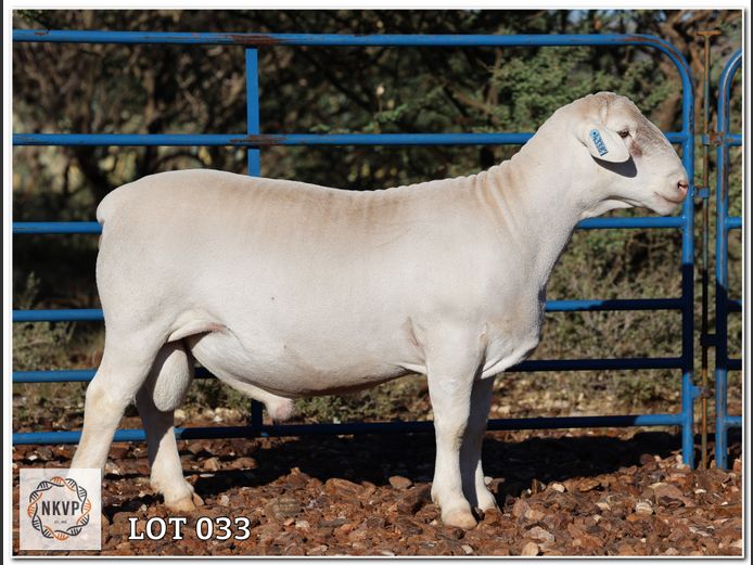 2280 24 0338W | LOUIS J. VAN RENSBURG, H/A MNR. E. VAN RENSBURG