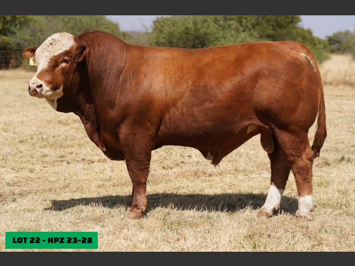 HPZ2328 | JP DU PREEZ BK