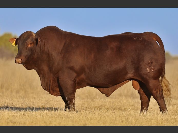 VV  220092 | T. DE JAGER