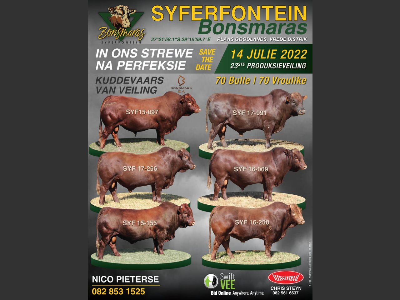 SYFERFONTEIN BONSMARAS 23STE PRODUKSIEVEILING | SwiftVEE | South Africa ...