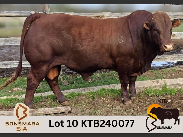 KTB240077 | BOTTERFONTEIN ESTATES CC
