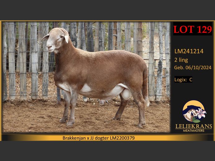 LM241214 | LELIEKRANS MEATMASTERS