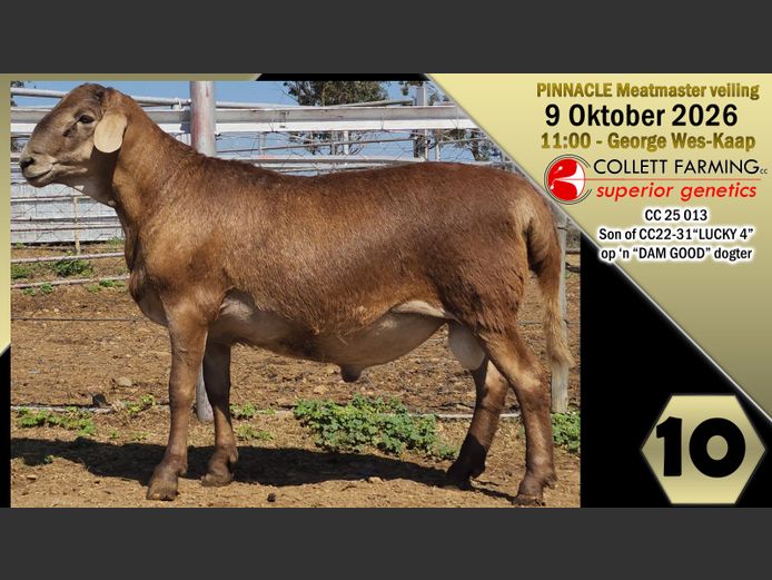 CC250013 | COLLETT FARMING CC