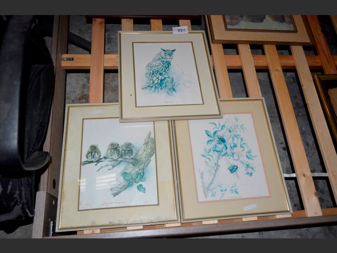 SET OF 3 FRAMED PRINTS: OWLS & FLOWERS, 32 x 25cm