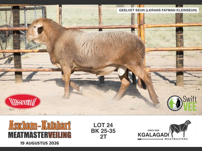 BK 25-35 | BARRI KNOETZE