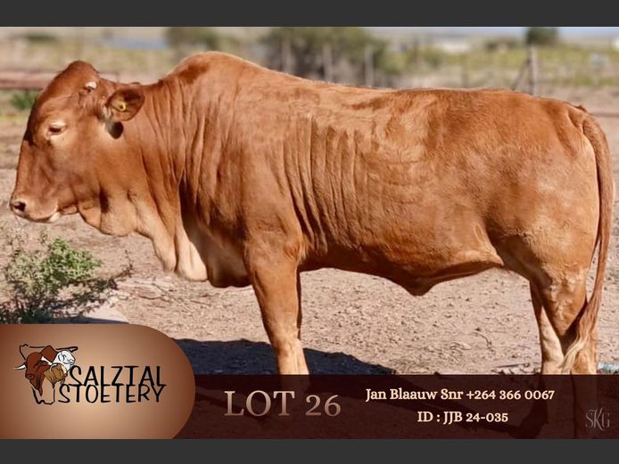 JJB 240035 | SALZTAL STOETERY
