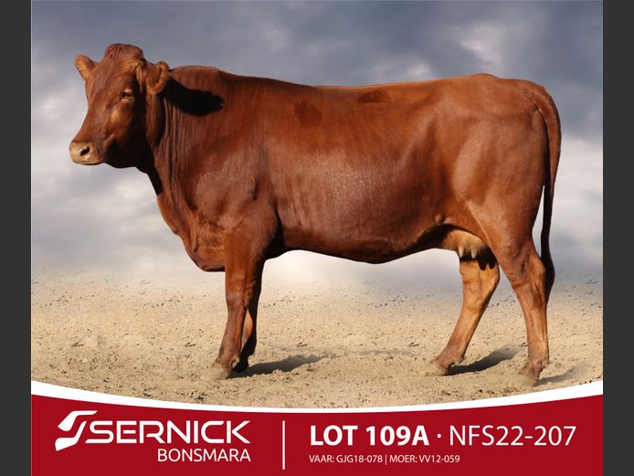 NFS 220207