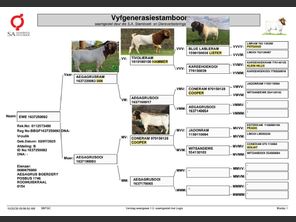 genetic_data