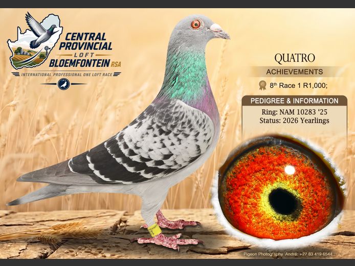 NAM 10283 2025 | QUATRO