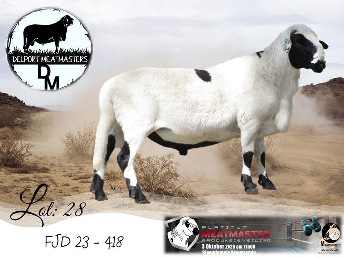 FJD 23-418 | Delport Boerdery