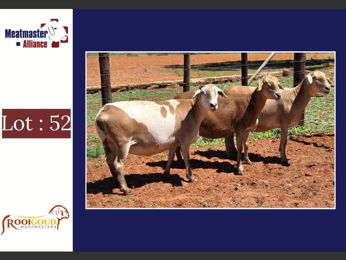 Ooie | Rooigoud Meatmasters