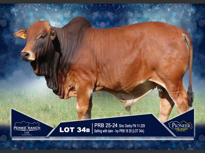 PRB 250024 | PEINKE RANCH