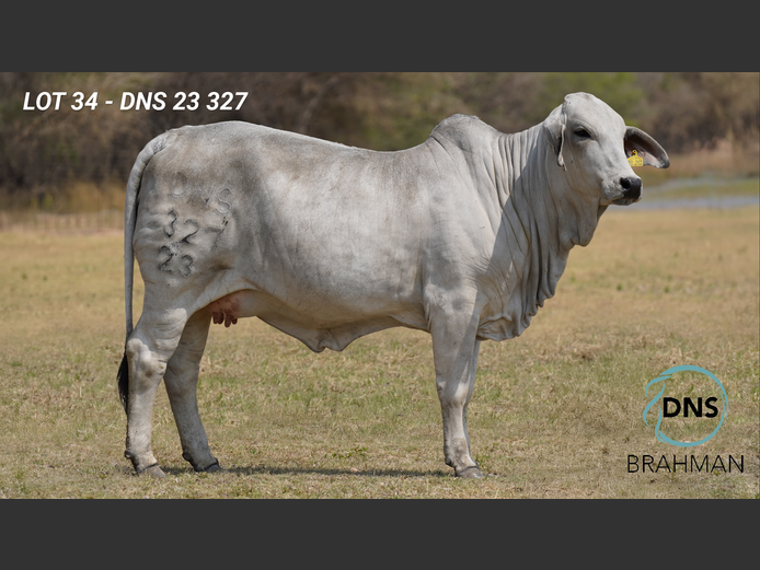 DNS23327 | JES-C BOERDERY (PTY) LTD